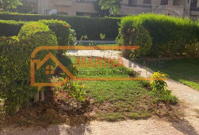 7957683 - صورة العقار 2