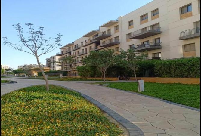 7996688 - صورة العقار 2