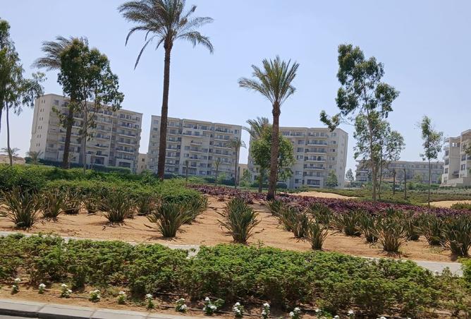 8485224 - Property Image 3