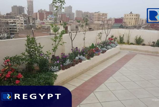 7915565 - Property Image 2
