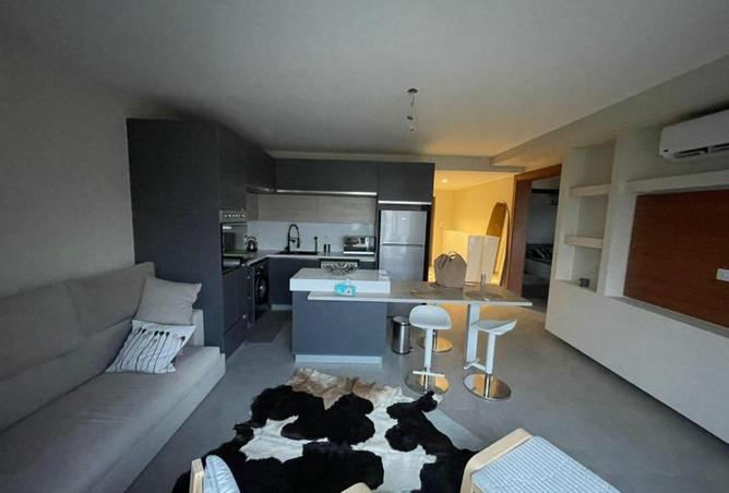 8511392 - Property Image 3