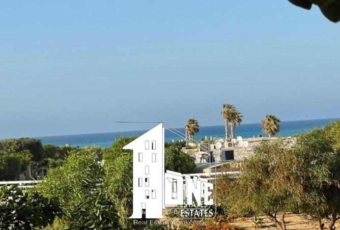 8419127 - صورة العقار 2