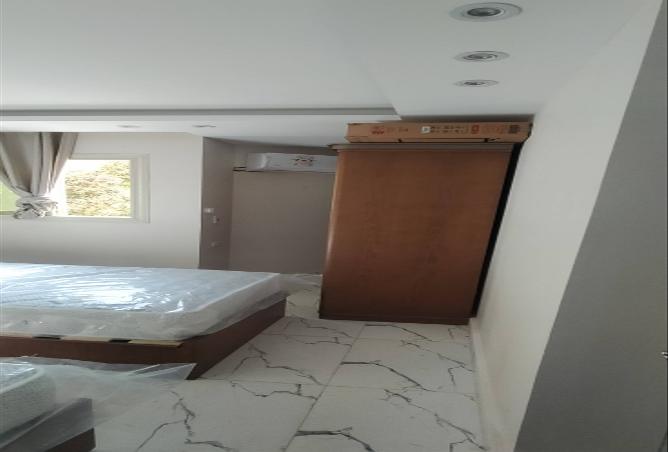 8008480 - Property Image 2