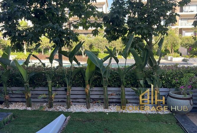 8451206 - Property Main Image