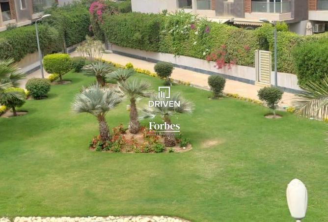 8175551 - صورة العقار 2