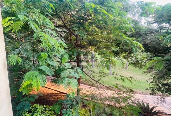 8185611 - صورة العقار 2