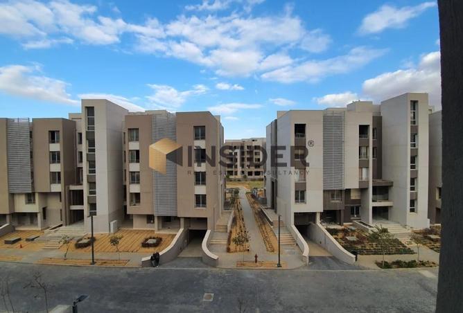 8323719 - Property Image 3