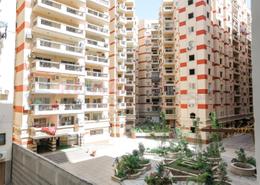 Apartment - 3 bedrooms for للايجار in Madkhal Sharkt Al Nakhl Wa Al Handasa St. - Smouha - Hay Sharq - Alexandria