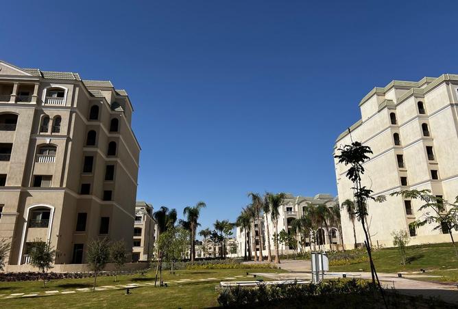 8448650 - Property Image 3