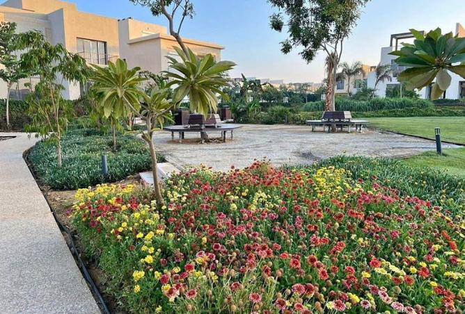 8245119 - صورة العقار 3