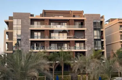 Apartment - 3 Bedrooms - 3 Bathrooms for sale in El Patio Oro - 5th Settlement Compounds - The 5th Settlement - New Cairo City - Cairo Apartment - 3 Bedrooms - 3 Bathrooms for sale in El Patio Oro - 5th Settlement Compounds - The 5th Settlement - New Cairo City - Cairo