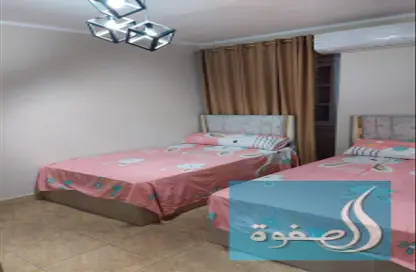 Apartment - 2 Bedrooms - 1 Bathroom for rent in Al Agouza - Giza