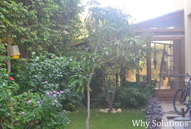 8319807 - Property Image 2