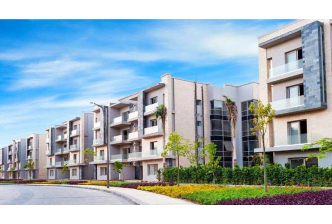 8344813 - Property Image 3