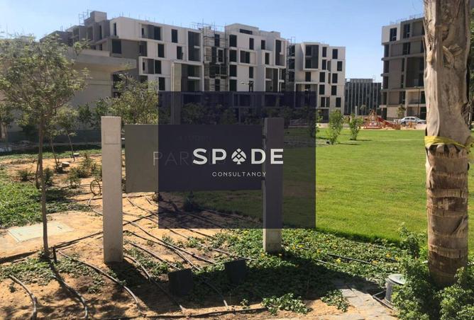 8135061 - Property Image 3