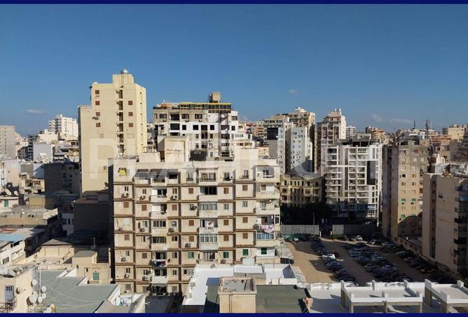 7895026 - Property Image 3