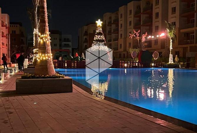 8426628 - Property Image 3