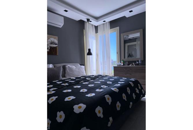 8119968 - Property Image 2
