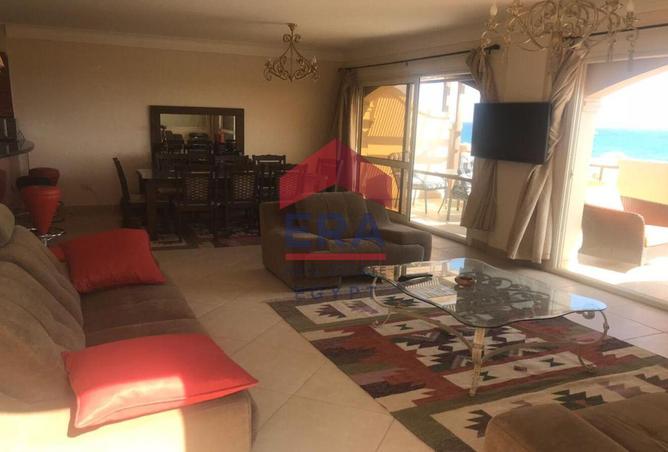 7997537 - Property Image 3