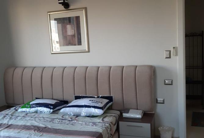 8257526 - Property Image 3