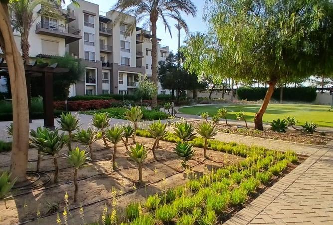 8162474 - صورة العقار 3