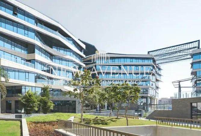 8282823 - Property Image 3