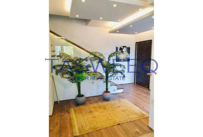 8238486 - Property Image 2