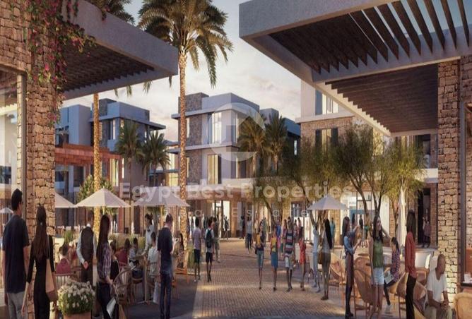 8452079 - Property Image 3