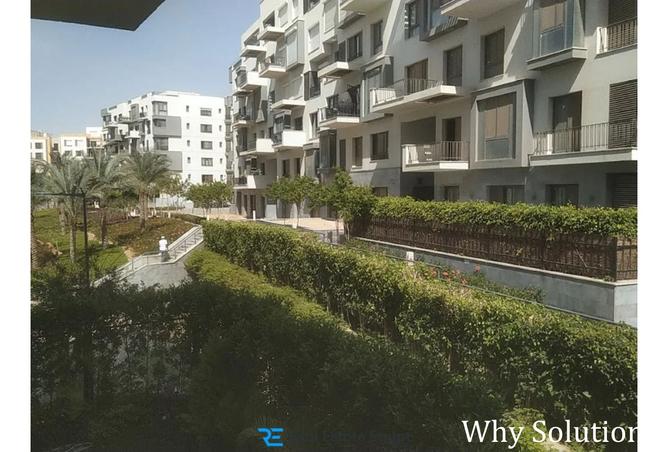 7769917 - Property Image 2
