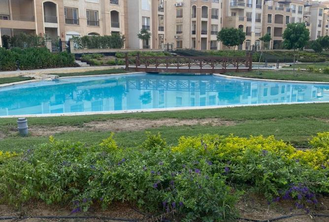 7939664 - Property Image 2