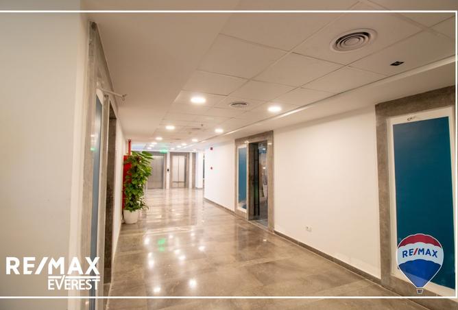 7929087 - Property Image 3