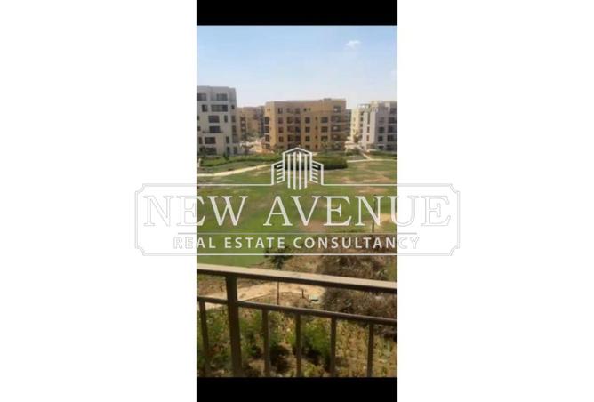 8003640 - Property Image 3