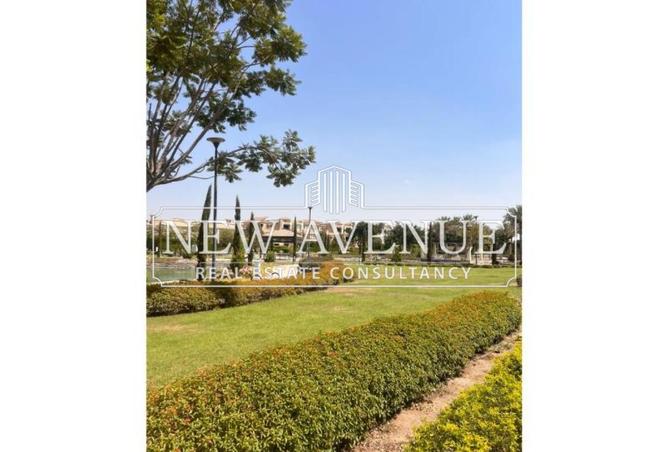 8298687 - صورة العقار 3