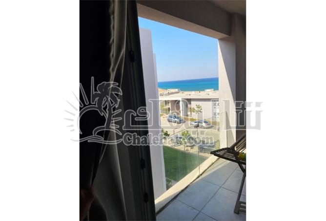 8029891 - صورة العقار 3