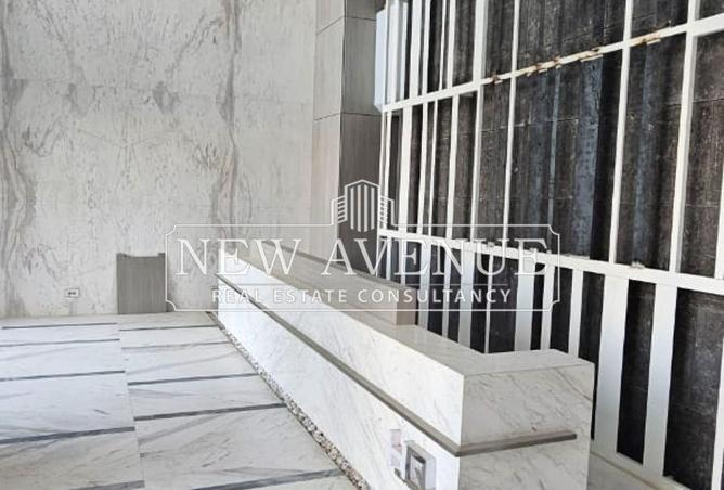 8135907 - Property Image 3