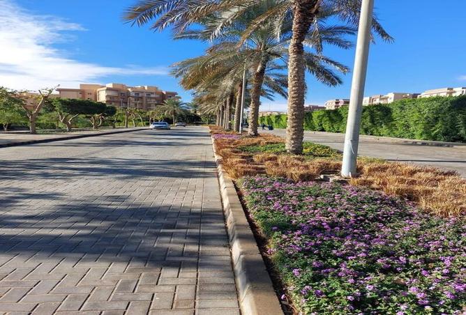 7972711 - صورة العقار 3