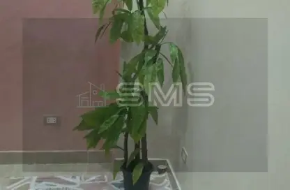 Villa - Studio - 3 Bathrooms for rent in El Banafseg 1 - El Banafseg - New Cairo City - Cairo