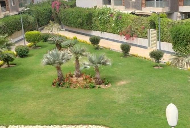 8397218 - صورة العقار 3