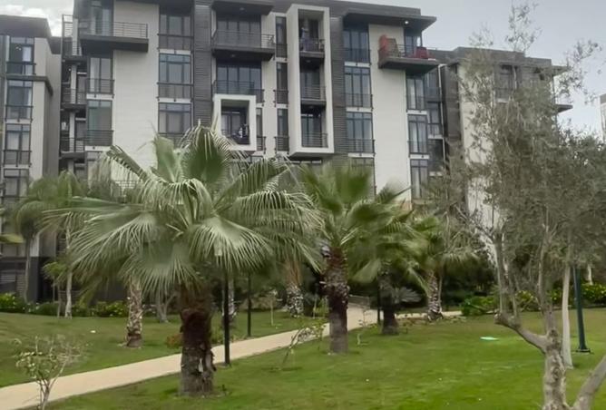 7913335 - صورة العقار 2