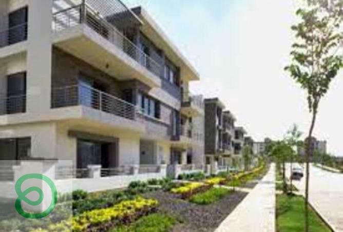 8442003 - صورة العقار 3