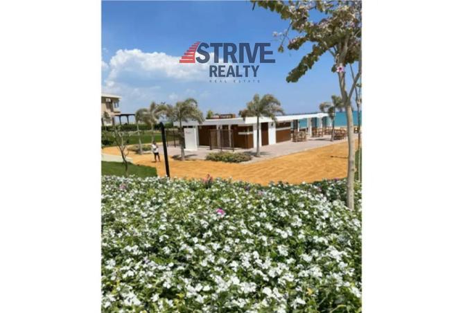 8363475 - Property Image 3