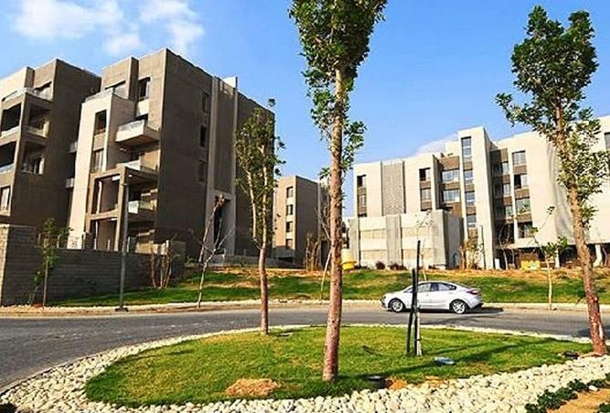 8332067 - Property Image 2