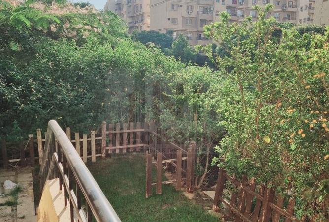 8192274 - صورة العقار 2