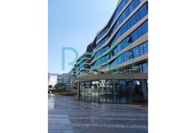 8248204 - Property Image 2