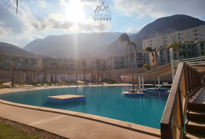 7988410 - Property Image 2