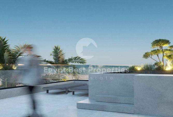 8035255 - Property Image 3