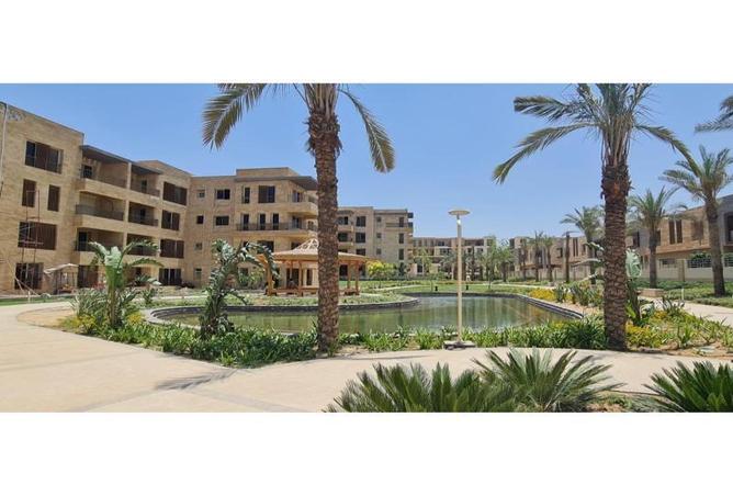 7944764 - صورة العقار 3