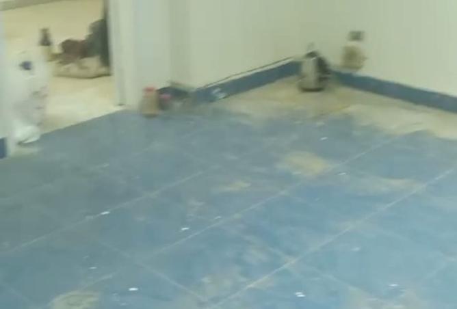 8193890 - صورة العقار 3