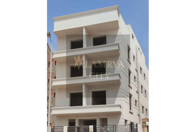 8186550 - صورة العقار 3