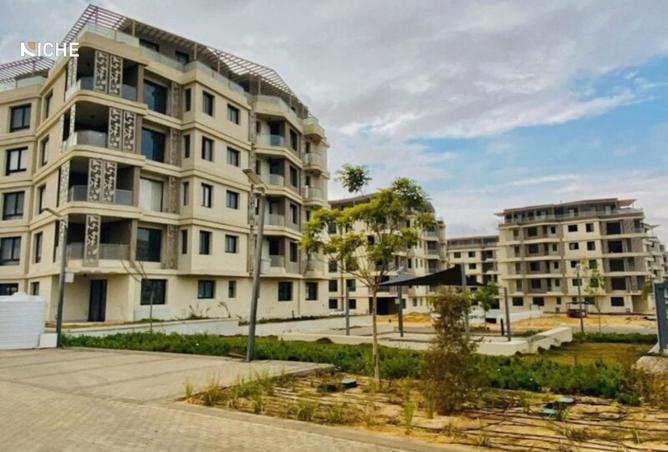 8384338 - Property Image 3